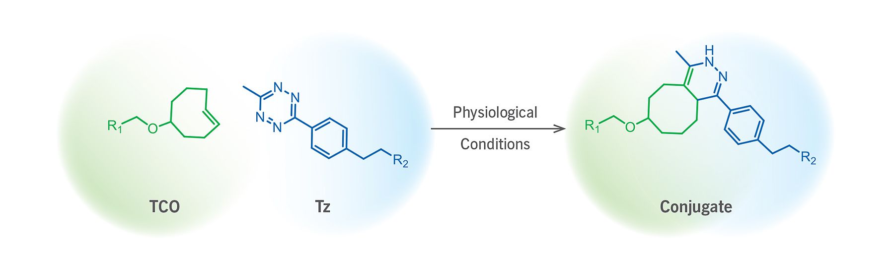 tco-tz_ligation_reaction