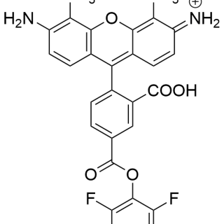 AFDye 488 Antibody Labeling Kit